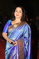 Celebs at Gemini TV Awards Photos